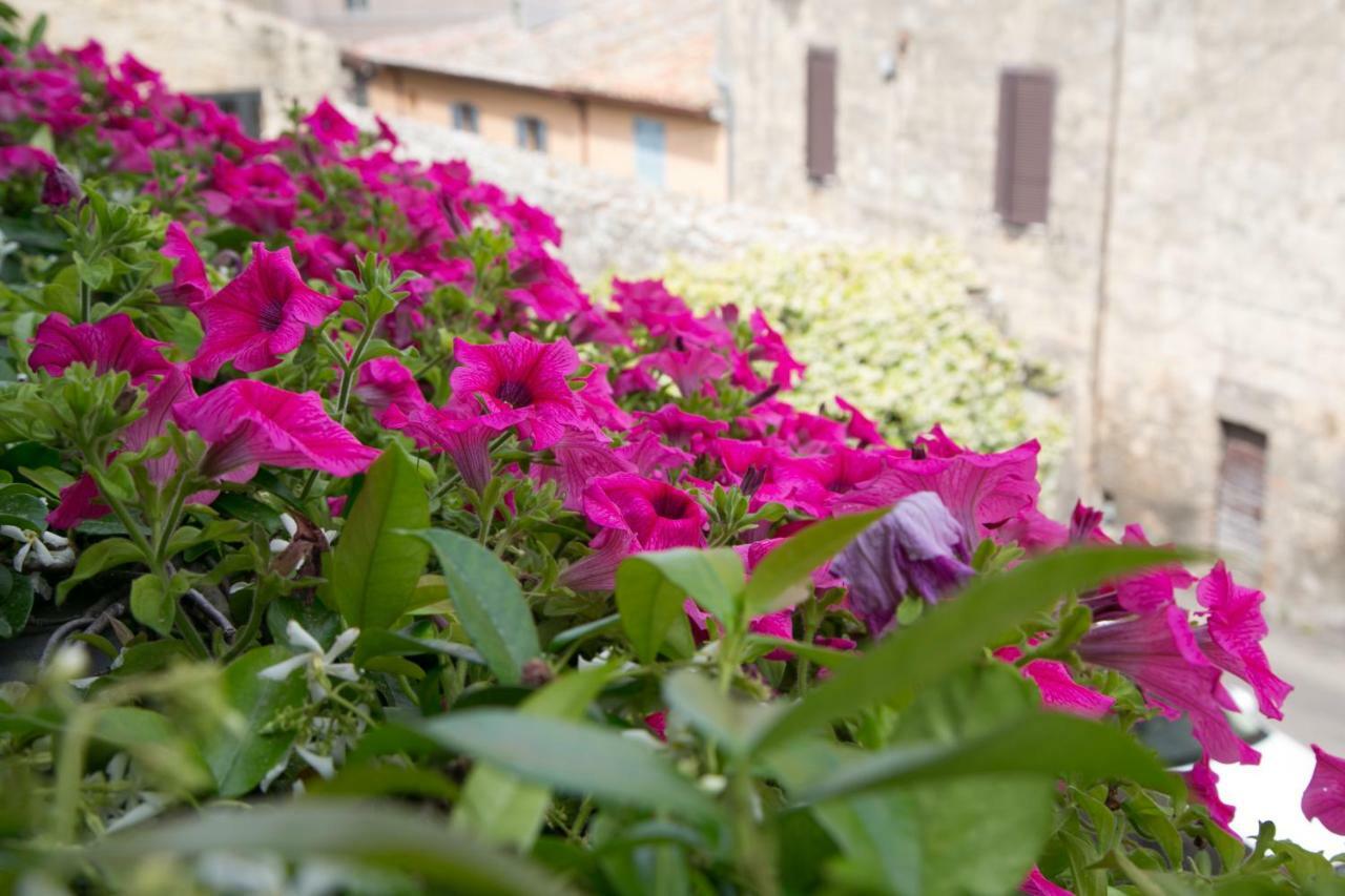 B&B Antiche Mura Tarquinia Εξωτερικό φωτογραφία